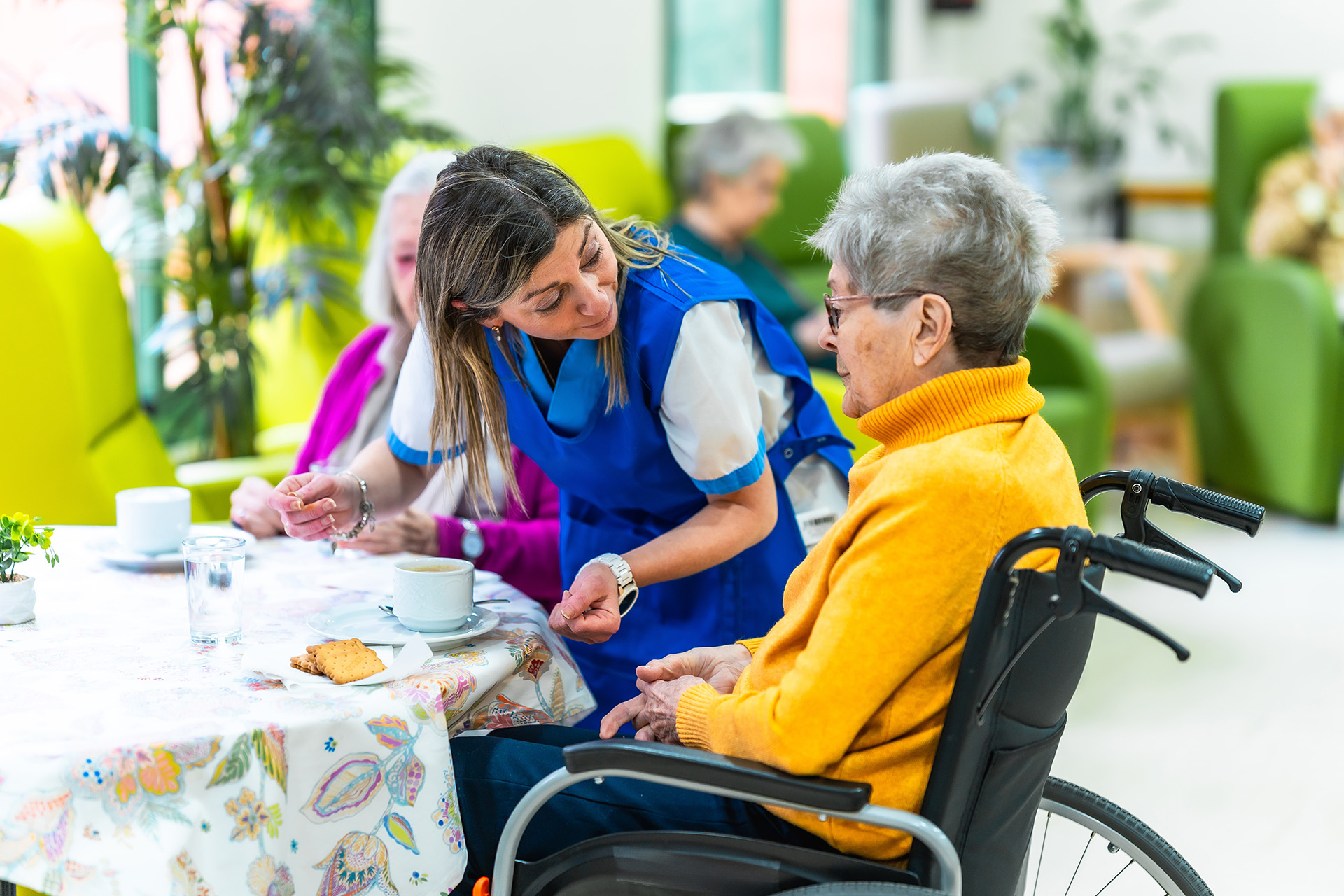 A nurse serving tea to an elderly woman in a wheelchair, showing supported living options for veterans when considering care homes.